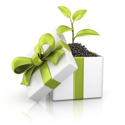 Green gift ideas for Christmas